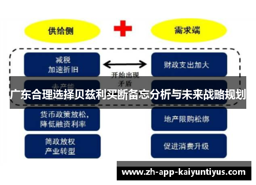 广东合理选择贝兹利买断备忘分析与未来战略规划