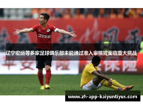 辽宁宏运等多家足球俱乐部未能通过准入审核或面临重大挑战 辽宁宏运等多家足球俱乐部未能通过准入审核或面临重大挑战