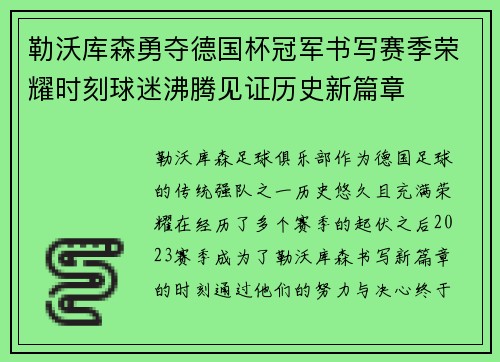 勒沃库森勇夺德国杯冠军书写赛季荣耀时刻球迷沸腾见证历史新篇章